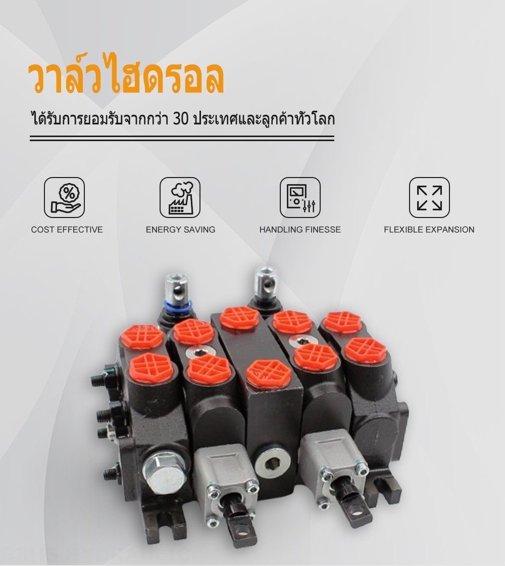 DCV60-Double control ด้วยตนเอง 2 สปูล วาล์วทิศทางส่วน